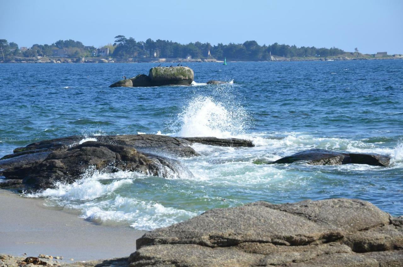 Appartement Corniche I 40 M2 - 40 M De L'Eau ! Au Calme Wir Sprechen Flieben Deutsch, Touristentipps, We Speak English Concarneau Exteriér fotografie